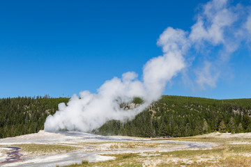 Old Faithful geyser eruption into Yellowstone National Park, USA