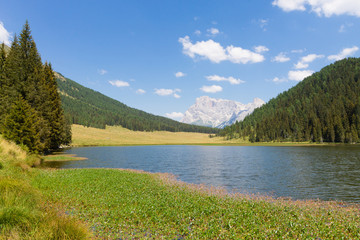 Beautiful alpine panorama