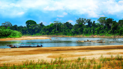 Wooden boat in backwaters jungle