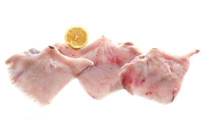 Fresh skate wings