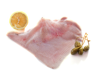 Fresh skate wings