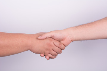 hand shake with white background 
