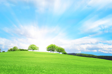 Collina verde con tre alberi e nuvole nel cielo azzurro 