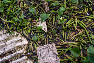 The garbage in the river 