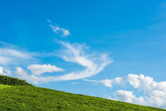 grassy knoll with blue sky