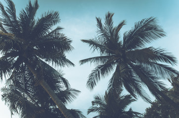 palm tree vintage