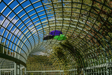 Bunte Regenschirme auf einer Pergola