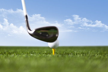 Golf club and ball on green grass