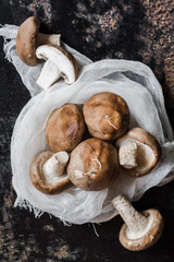 Shiitake mushroom on rusty steel plate background, Overhead view