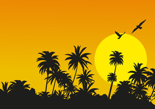 Sunset in the tropical mountains. Vector illustration.