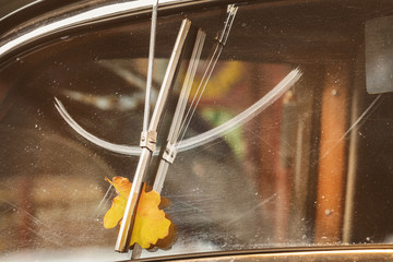 Autumn leaf behind a screen wiper