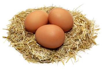 Chicken eggs in a nest
