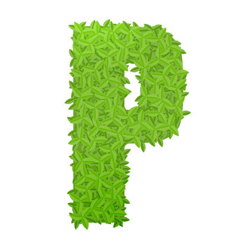 Uppecase letter P consisting of green leaves