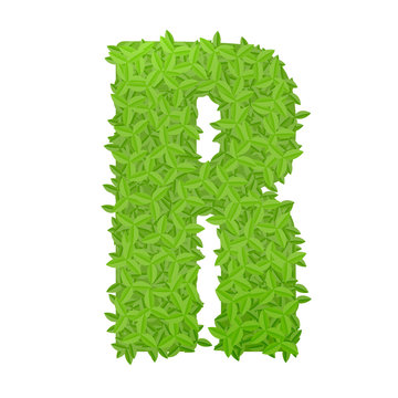 Uppecase letter R consisting of green leaves