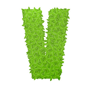 Uppecase letter V consisting of green leaves