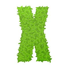 Uppecase letter X consisting of green leaves