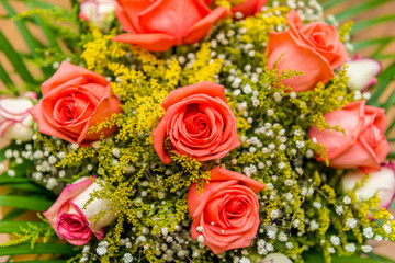 Nice roses in celebration concept