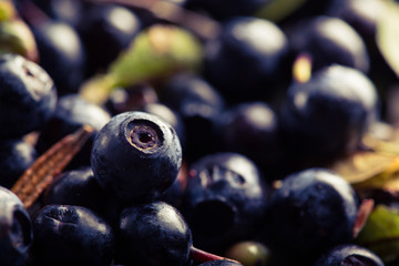 blueberries on a table