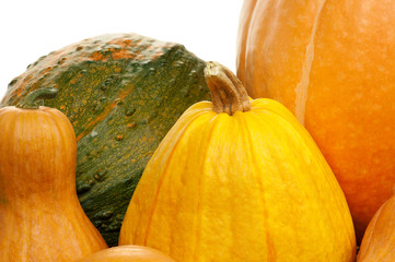 Ripe pumpkins