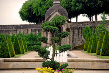 Fototapeta na wymiar View of a bonsai in a park in Limoges city