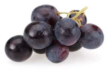 Black Grape