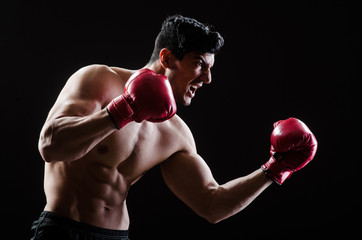 Naklejka na ściany i meble Muscular man in boxing concept