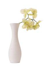 Vase with orchid flower isolated on white