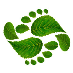 Footprint ying jang  sign