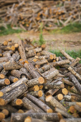 Many wood logs disposed on a textured background
