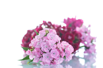 bright bouquet of carnations
