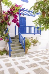 Fototapeta na wymiar A very traditional alley view of the architecture in Chora,on the greek island Mykonos,Greece.A blue door,fence,windows,red bougainvillea, flowers outside a whitewashed house and cobble paved street
