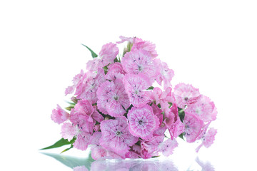 bright bouquet of carnations