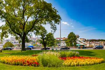 flower bed in Budapest