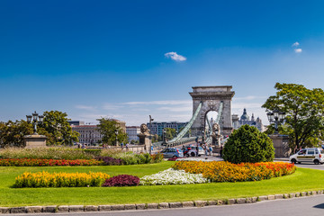 Obraz premium Flowers and The Chain Bridge in Budapest