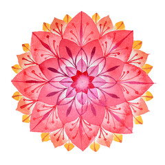 Pink flower hand drawn mandala in watercolors technique
