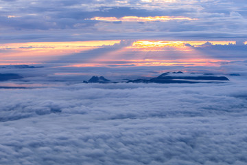Fototapeta na wymiar Morning mist with mountain at sunrise in Phu Kradueng national park, Loei Thailand.