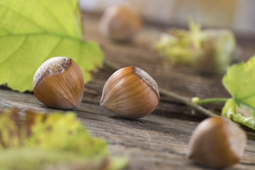 Nature Morte Automne