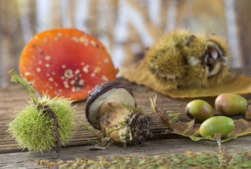 Nature Morte Automne