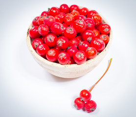 Fresh fruit of hawthorn. The concept of alternative medicine.