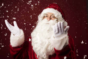 Santa Claus standing in the snowy scenery.