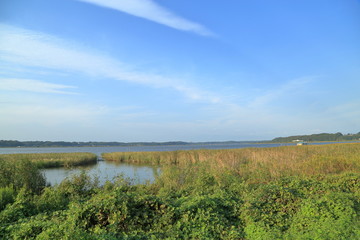 印旛沼の景色（千葉県印西市）
