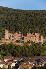 Fototapeta na wymiar Blick auf Heidelberger Schloss und Altstadt