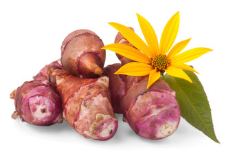 Jerusalem artichoke