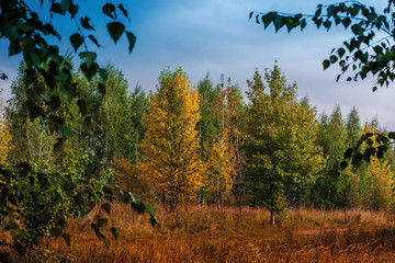 Autumnal landscape horizontal