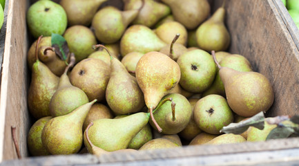 Box full of fine ripe pears