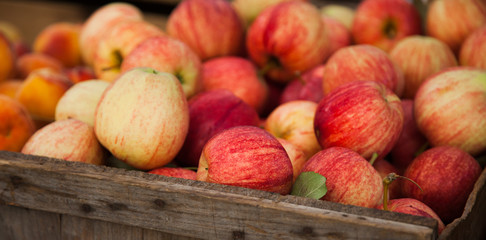 Box full of fine ripe apples