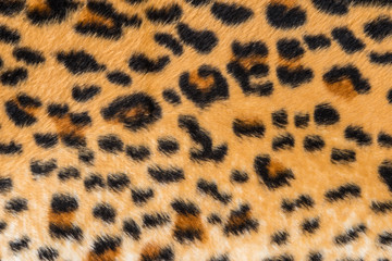 texture of leopard skin and fur
