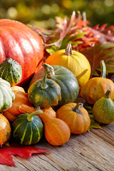 Thanksgiving Autumn Fall background with red, brown and yellow l