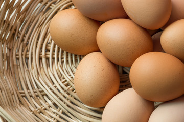 Fresh organic eggs