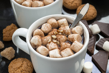 delicious cocoa with marshmallow and cookies, closeup